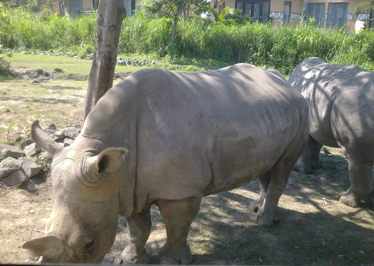 Bali Zoo, Bali