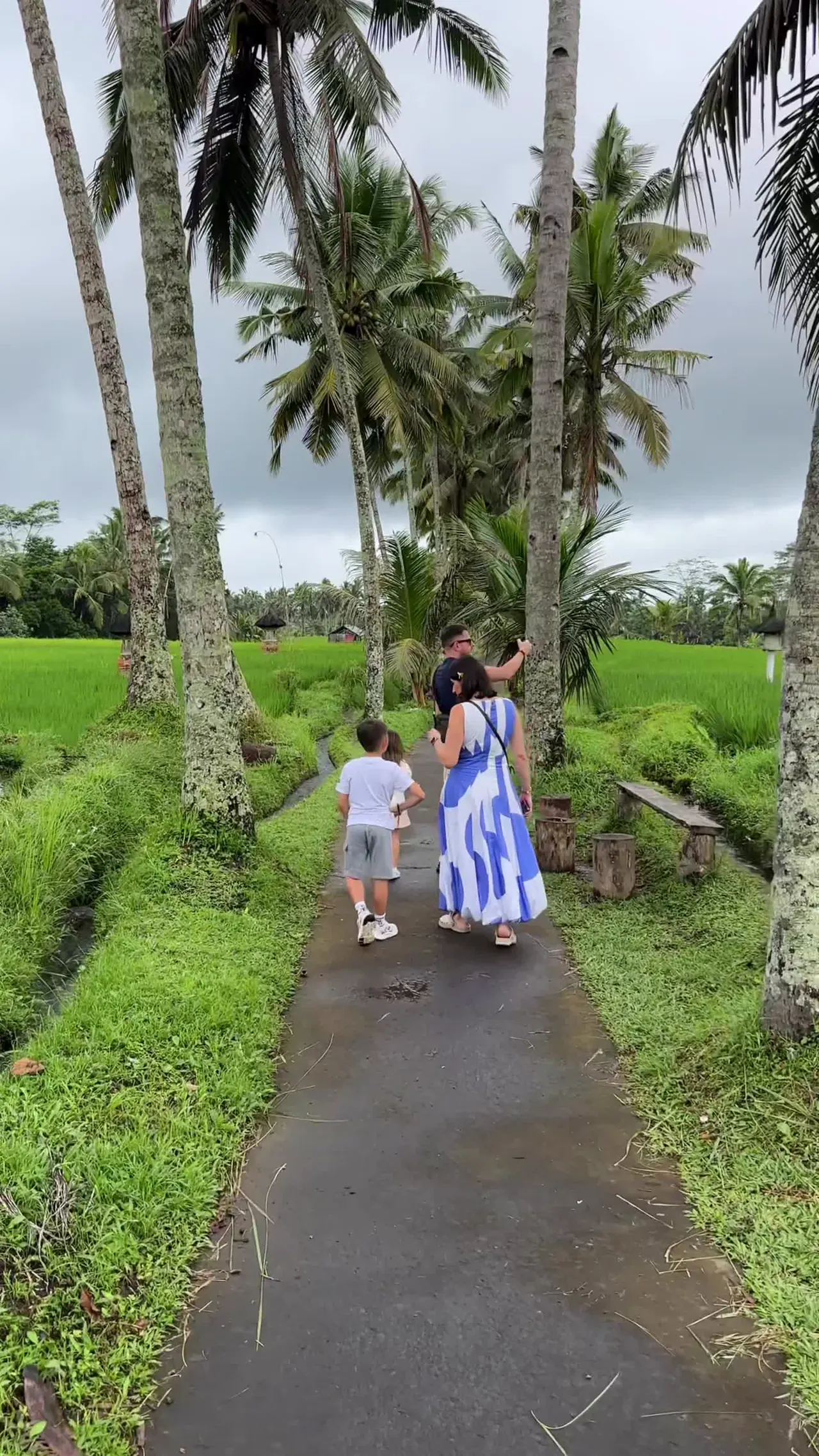 Elephant sanctuary area, Bali (regional view)