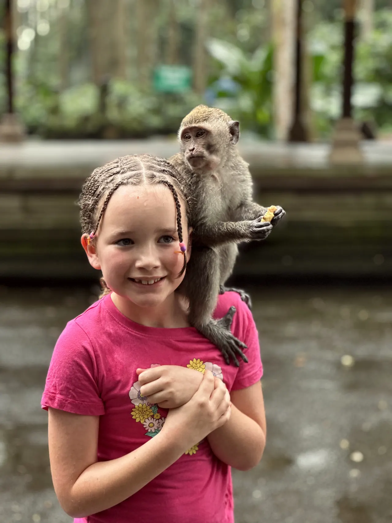 Sangeh Monkey Forest, Bali