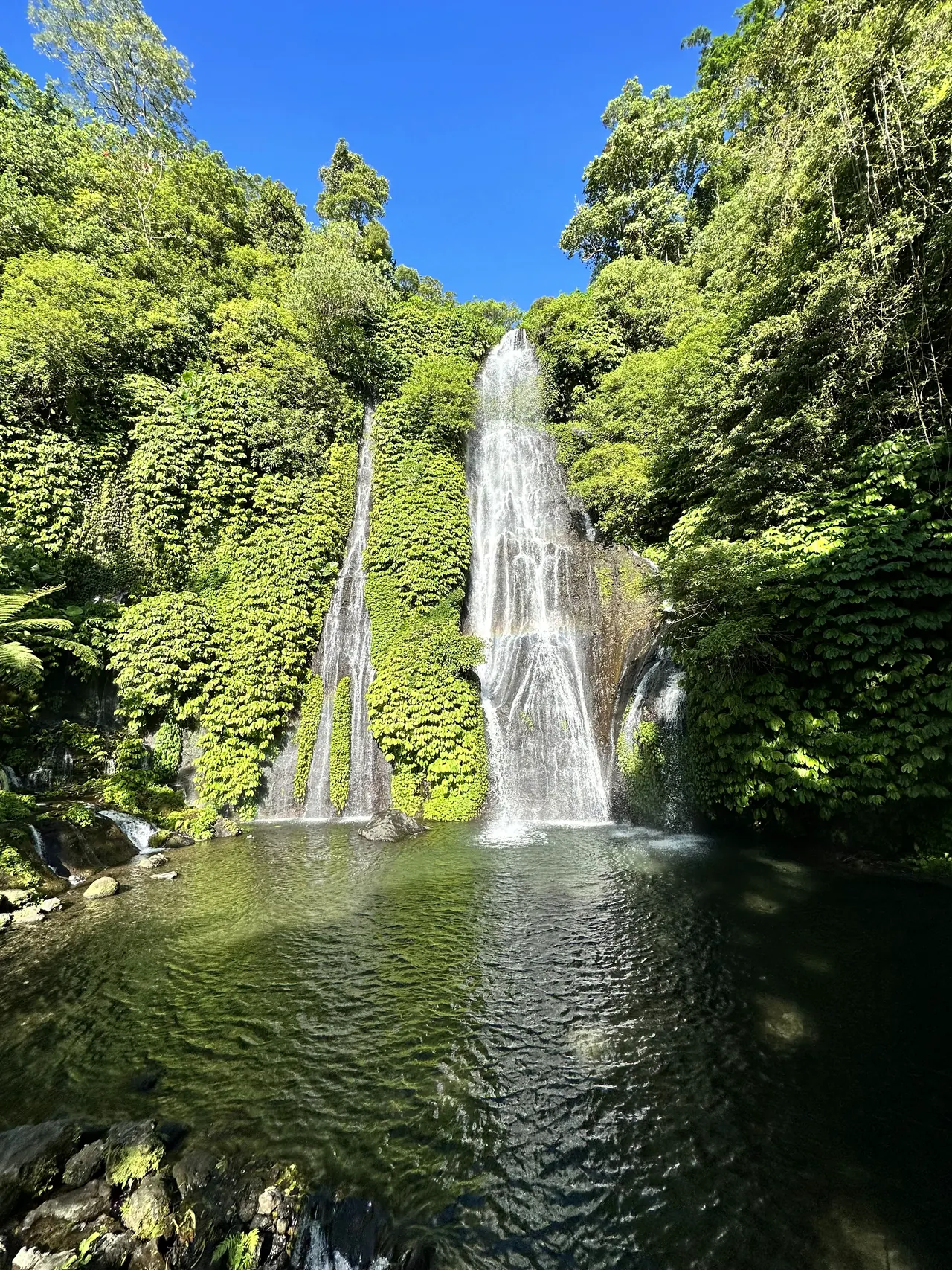 Twin waterfalls dropping into a green pool surrounded by jungle